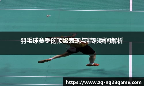 羽毛球赛季的顶级表现与精彩瞬间解析